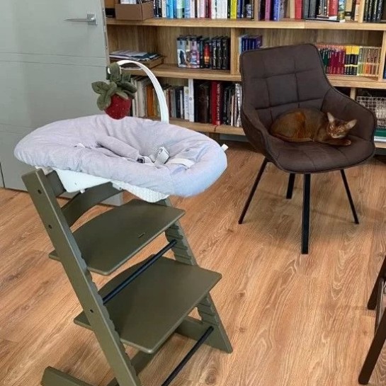 Береза ncs 7010-g90y